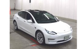 Tesla 3 LR  2021