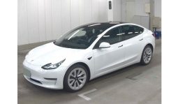 Tesla 3 LR  2021