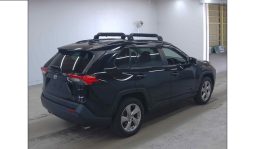 
										Toyota RAV-4 2019 full									