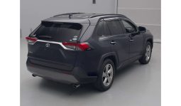 
										Toyota RAV4 2019 full									