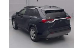 Toyota RAV4 2019