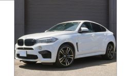 BMW X6 2017