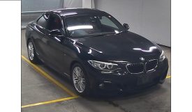BMW 220I CUPE 2017